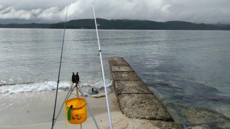 宮津江尻でピンギスラッシュ